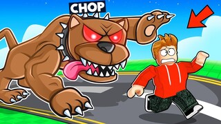 ROBLOX CHOP RACES ME IN PET RACE SIMULATOR FOR FIRST PLACE