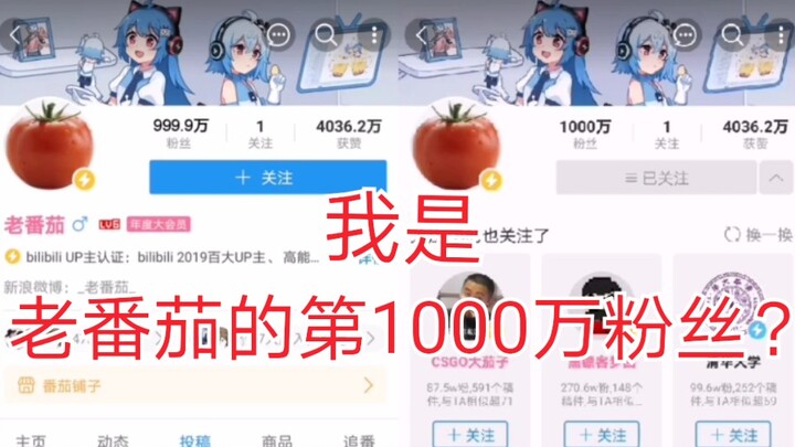 Đúng rồi, tôi là fan thứ 10 triệu của Lao Tomato [doge]