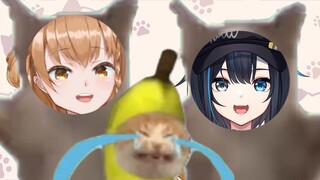 There are more happy cats, but Banana Cat is crying again!