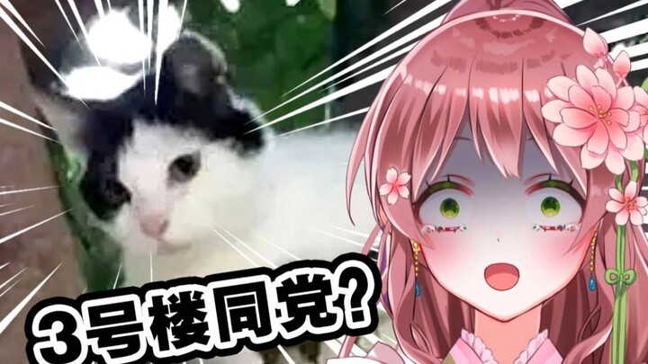 Japanese Loli Maid Watch "วันนั้นมนุษย์จำความกลัวถูกแมวครอบงำได้ในที่สุด"