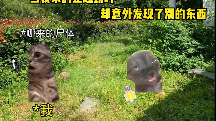 Loyal souls rest beneath every green hill.