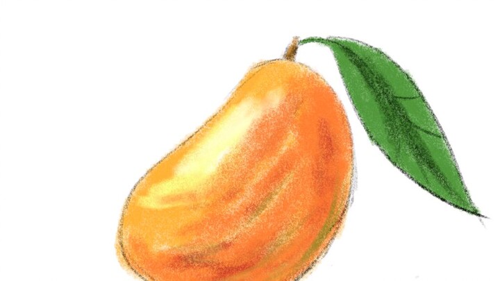 Drawing Mango