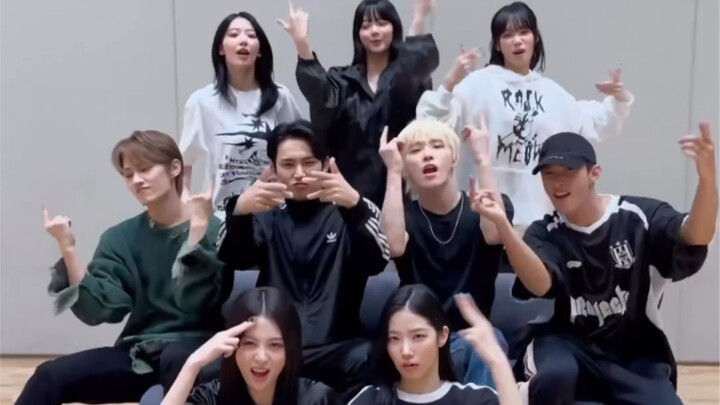 【SEVENTEEN/LE SSERAFIM】Compilation of Unforgiving Challenges