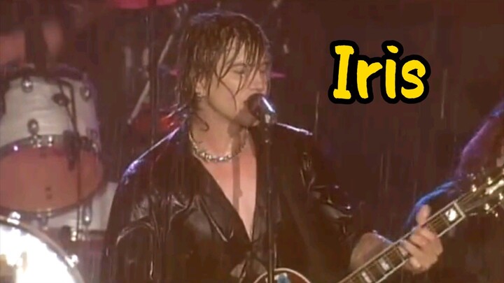 Iris - Goo Goo Dolls (Live) in Buffalo July 4th, 2004