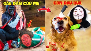 Thú Cưng Vlog | Chó Gâu Đần Golden Troll Mẹ #31 | Chó golden vui nhộn | Funny pets smart dog