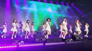 AKB48TeamSH五周年低质饭拍合集拉布拉多寻回犬