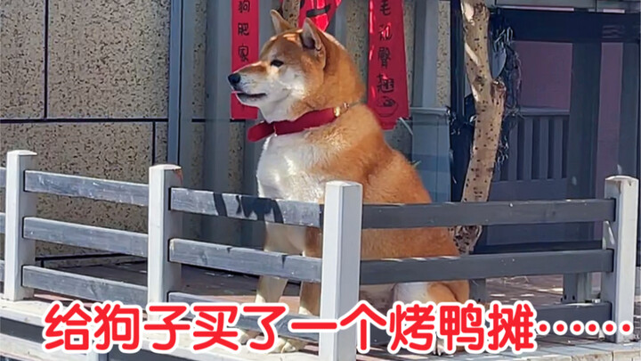 Để con chó nhà mình đừng bỏ nhà đi nữa, tôi đành dựng hẳn một quầy hàng cho nó…