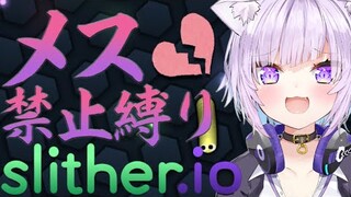 【罰ゲームあり】出るメスは打たれる…：slither.io【猫又おかゆ/ホロライブ】