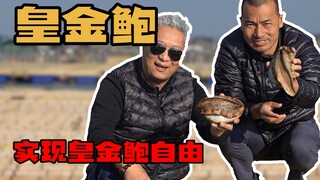 【พี่ชิงเจี๋ย】 บรรลุอิสรภาพแห่งหอยเป๋าฮื้อสีทอง