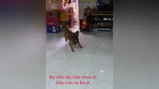 Bà 2 ko chở thì Ba tôi chở tôi đi 🤣🤣🤣chó_cưng chó