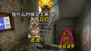 波波与楼梯的奇妙缘分