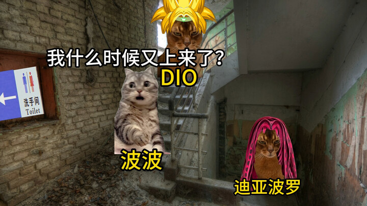 波波与楼梯的奇妙缘分
