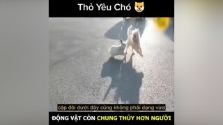 tình yêu thật cảm động 🤣🤣 reviewphim reviewphimhay nnt_review learnontiktok