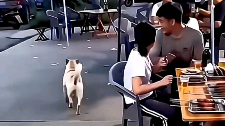 wait for and 😂😂#funny #fuuny Shorts