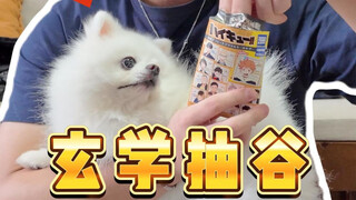 《汪汪队立大功！》