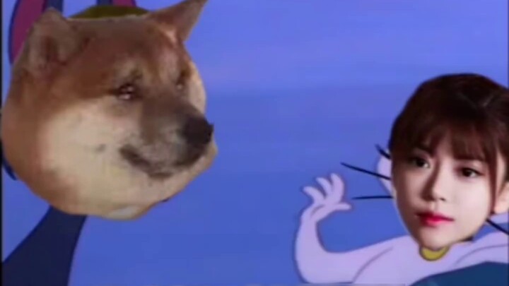 【แมวกับเจอร์รี่】หมาเลียและผู้หญิงเลว