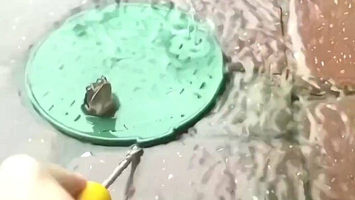 Frog: What do you know? This is a brand-new way to take a bath!