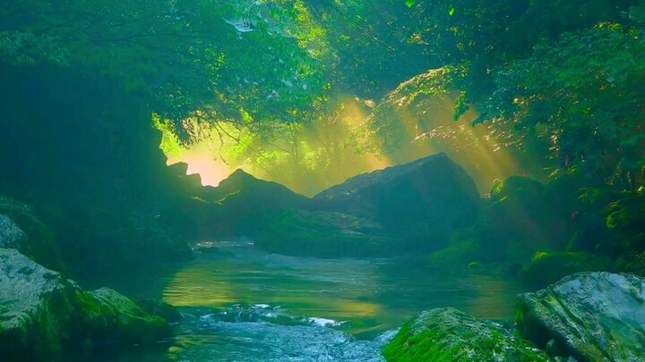 “Ngày mai sẽ tỏa sáng giữa rừng thông, những dòng suối trong vắt sẽ chảy trên đá.”