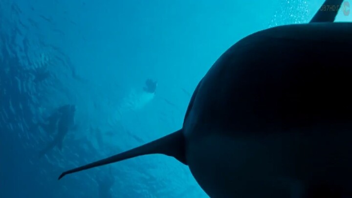 Deep Blue Sea (1999) ฝูงมฤตยูใต้มหาสมุทร - พากย์ไทย