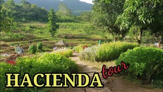 Vlog 03 Hacienda Tour