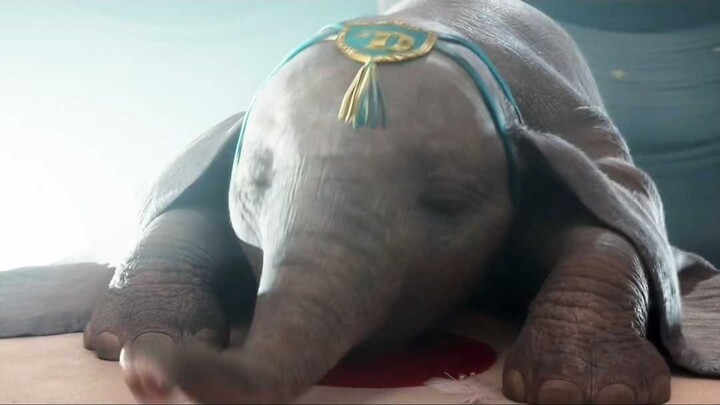 Dumbo melarikan diri dari sirkus, terbang ke sini, lalu langsung ngotot tidak mau pulang
