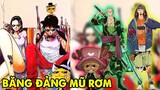 Luffy Làm Đại Ca Giang Hồ  | Top 7 Lần Băng Mũ Rơm Nhập Vai Không Hề Giả Trân