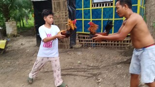 Boston Sweater VS Navajero Gilmore spar