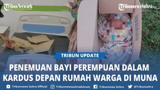 Video Viral Penemuan Bayi Dalam Kardus Depan Rumah Warga di Desa Lasalepa Muna Sulawesi Tenggara