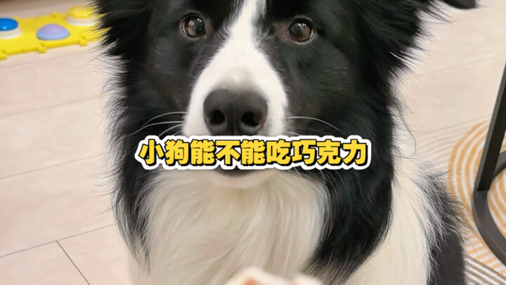 หมานหมานเออร์มีคำตอบของตัวเอง