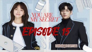 You Are My Secret ep 15 (sub indo)