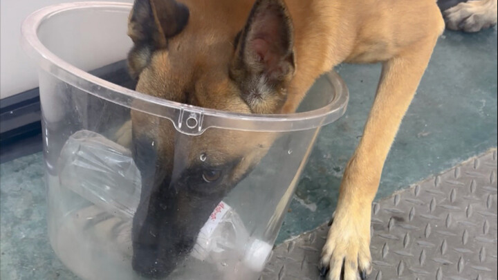 الجزء المفضل لديه الآن هو عضّي بقوّة!