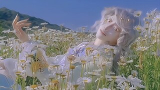 当洁白的鸟儿，飞往他的山