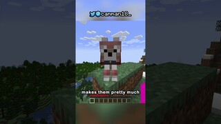 NEW UPDATE 1.20.5 . WOLF STUFF IS HERE.