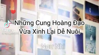 12 cung hoàng đạo phần 17