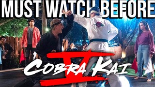 COBRA KAI Season 1-4 Recap | Must Watch Before Season 5 | Netflix Series Explained