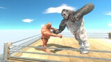 Boxing with HILL GIANT in Boxing Ring ( New Unit ) - Animal Revolt Battle Simulator