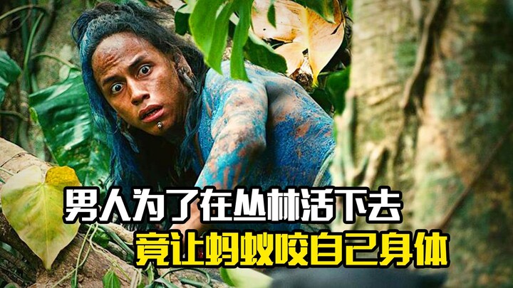 To survive in the jungle, a man lets ants bite his body—what an adventure!