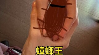 我们总是可以想到最佳的方案解决问题。