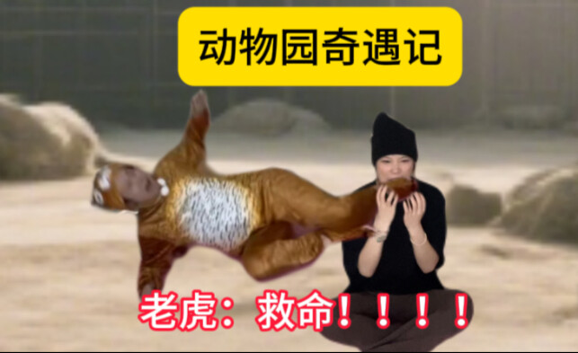 有人管管吗……老虎被人咬了……
