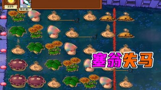 植物大战僵尸：得者失之本，福为祸之梯