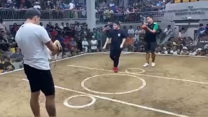 Firebird angels 2nd Super white! (DMCA) Del Monte C🐔ckpit Arena 5 C🐓ck derby feb 2026