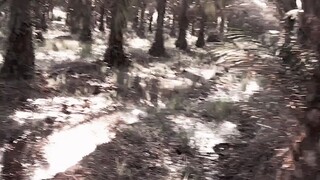 pemandangan yg TDK terlalu buruk