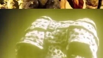 Tóm tắt Obio! Shining Gatanjie VS Ultraman Ringa