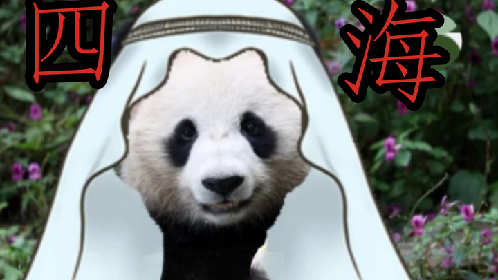 Sihai in Qatar | With a rag on my head, I’m the richest bear around!