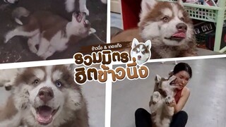 ขุดดินขี่สเก็ตขี้ดื้อสุดๆ แม่ยอม - รวมมิตรฮิตข้าวนึ่ง Ep.2