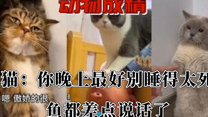 นี่ลืมดื่มน้ำเมิ่งผาวแล้วใช่ไหม ปลาเกือบพูดได้เลยนะ