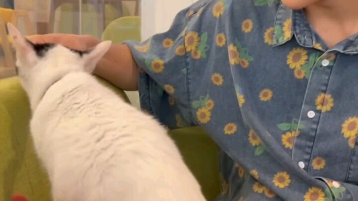 น่าร๊ากกก
