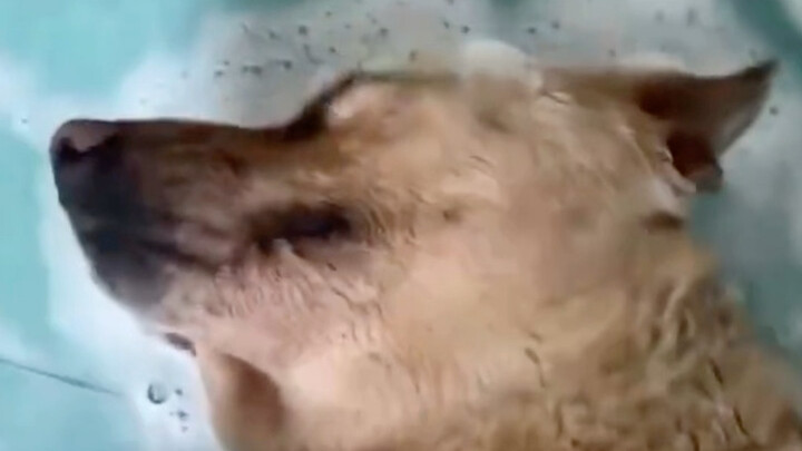 Ternyata sudah meninggal, saya kira hanya tertidur saat mandi