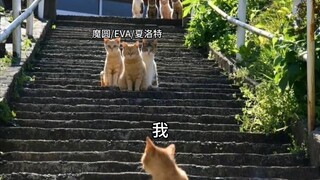 当我意识到……