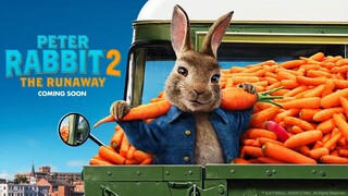 PETER RABBIT 2_ THE RUNAWAY Full movie link in description